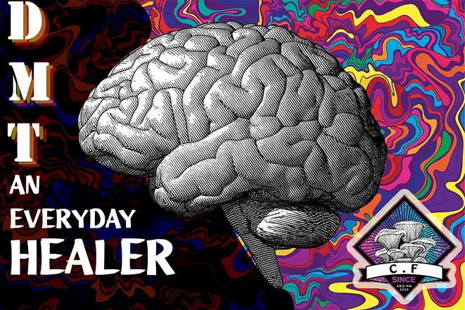 Buy dmt for sale