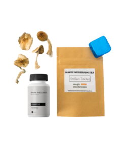 Buy First Timer Magic Mushroom Kit: Psych 101 – An Introduction to Psychedelics Online canada